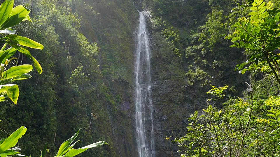 Towering Waimoku Falls plunging 400 feet down cliff face in Haleakala National Park Maui