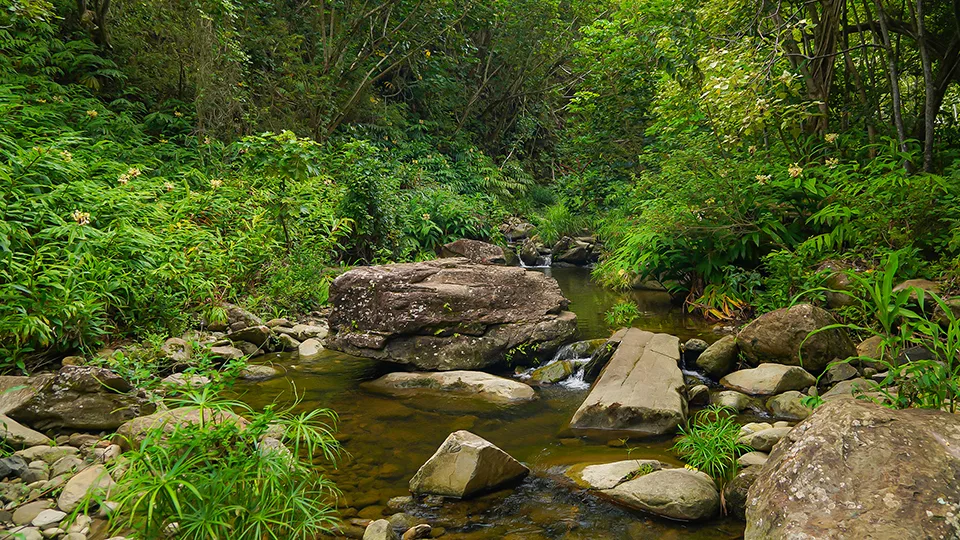 Stream crossing point on Makamaka'ole Stream hiking trail West Maui Mountains