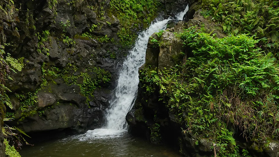 Makamaka'ole Falls 270-foot multi-tiered waterfall on Maui reached via challenging 13 Crossings Trail in West Maui Mountains