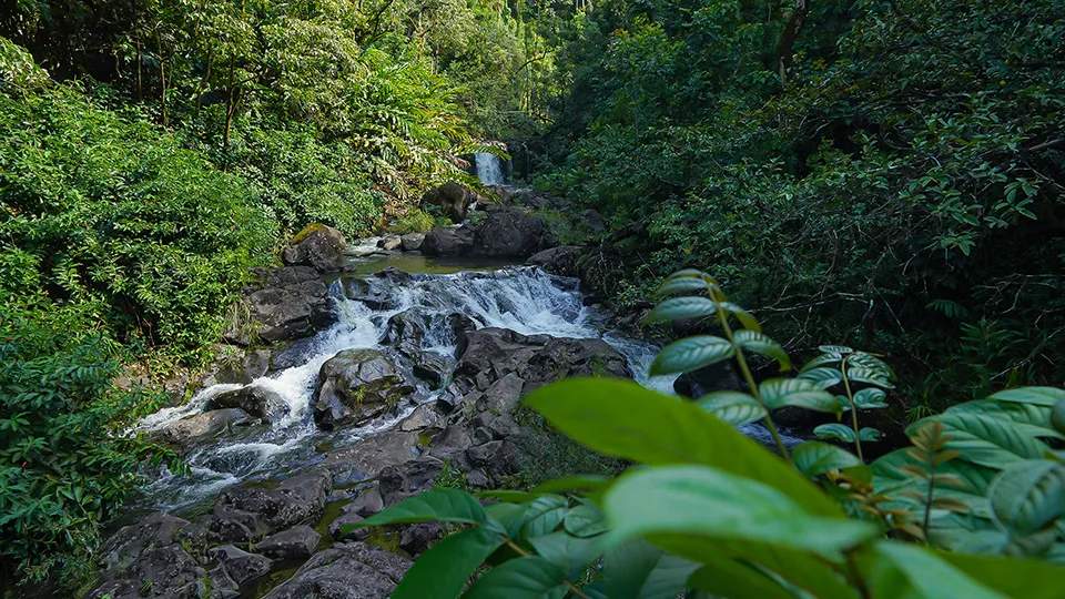 Nu'yenle'e Falls with accessible viewing area and lower pool often called secret lagoon on Maui