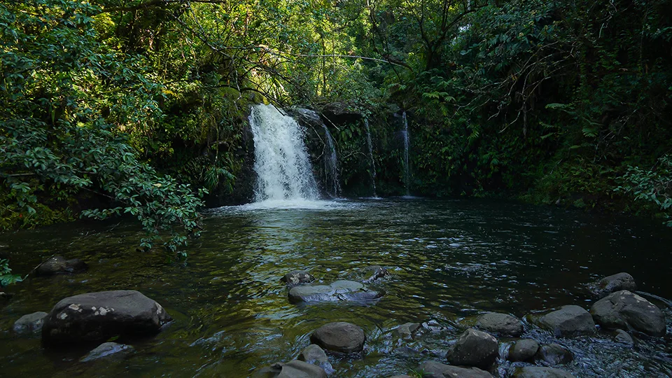 Nu'yenle'e Falls upper tier view from established viewing area convenient roadside stop Maui