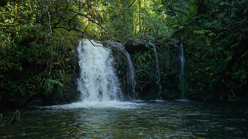 Nu'yenle'e Falls framed by lush tropical vegetation showing both upper and lower tiers Hana Highway