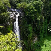 Top 10 Waterfalls on Maui Makahiku Falls