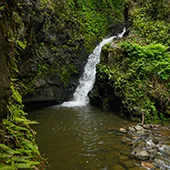 Top 10 Waterfalls on Maui Makamaka’ole Falls