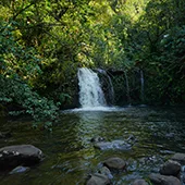 Top 10 Waterfalls on Maui Nu'yenle'e Falls