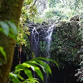 Top 10 Waterfalls on Maui Twin Falls