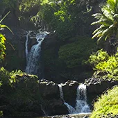 Top 10 Waterfalls on Maui Seven Sacred Pools Oheo Gulch