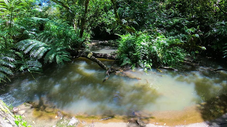 Serene pool reflection at Twin Falls Wailele Ha'iha'i meaning broken waters first waterfall on Hana Highway