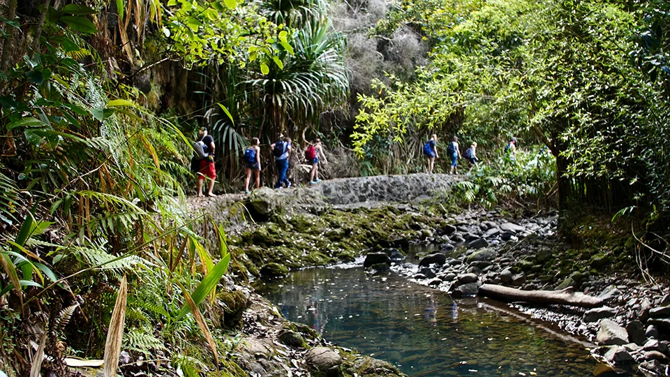 Trail path to Twin Falls crossing through working agricultural area with traditional irrigation systems Maui