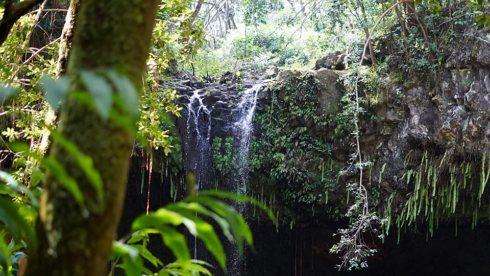 Twin Falls first major waterfall on Maui's Road to Hana traditional name Wailele Ha'iha'i family-friendly hike with swimming