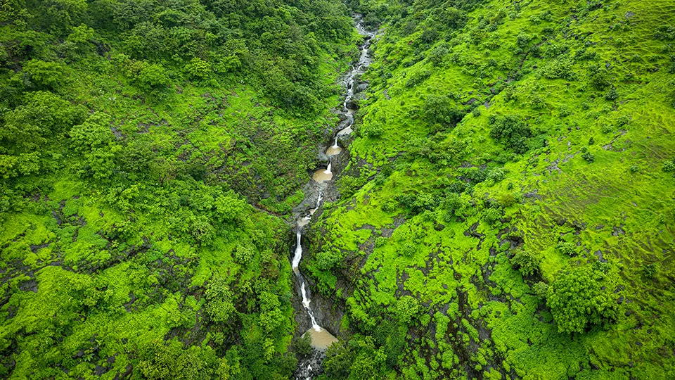 Honokohau Falls tallest waterfall on Maui 1100-foot double-tiered cascade in remote West Maui Mountains visible only by helicopter