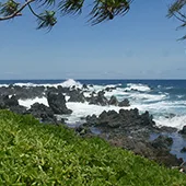 Best Road to Hana Stops in Maui Keanae Peninsula