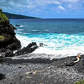 Best Road to Hana Stops in Maui Pipiwai Trail