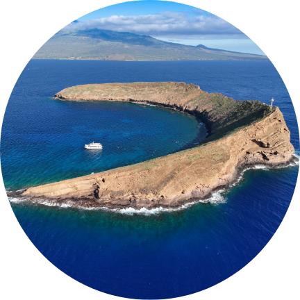 Molokini Snorkel Tour