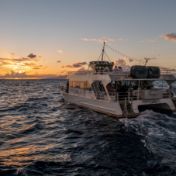 maui sunset dinner cruise from ma'alaea harbor